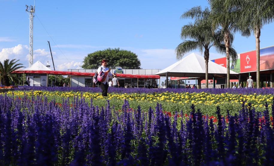 Foto: Rodrigo Félix Leal/SEIL-PR