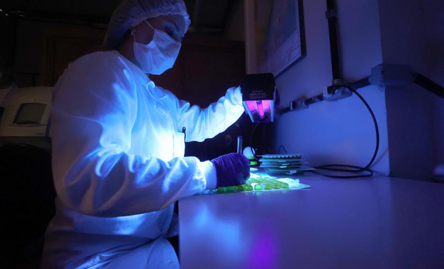 Orçamento recorde: Estado destinará R$ 708,9 milhões para ciência e tecnologia em 2024. Foto: Gilson Abreu/Arquivo AEN