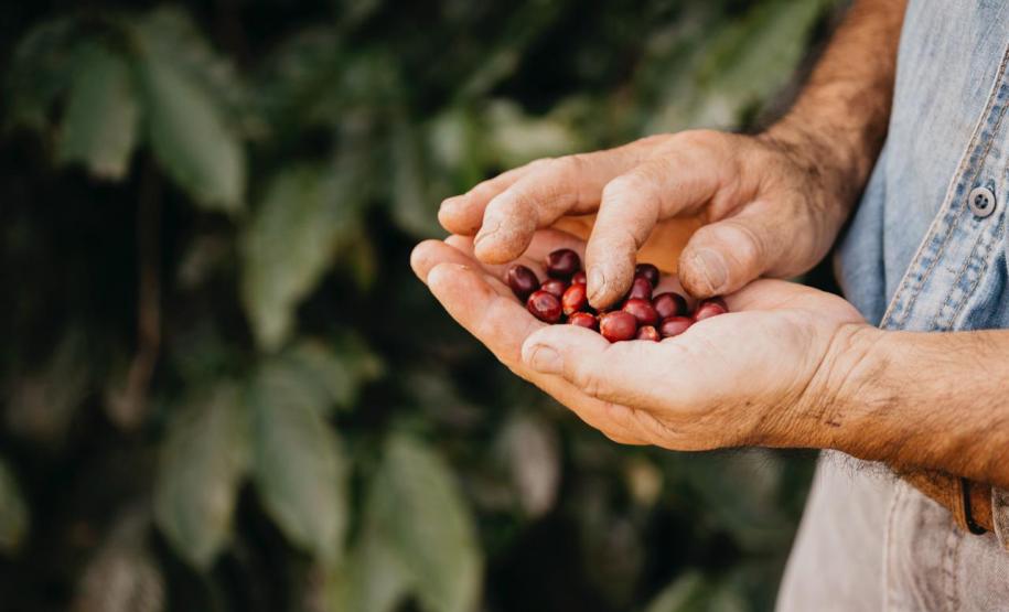 Com apoio do Estado, startup cria marketplace para conectar produtores artesanais e clientes. Foto: SEI