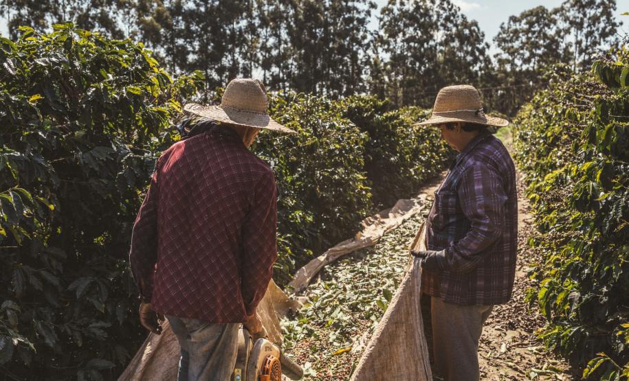 Com apoio do Estado, startup cria marketplace para conectar produtores artesanais e clientes. Foto: SEI