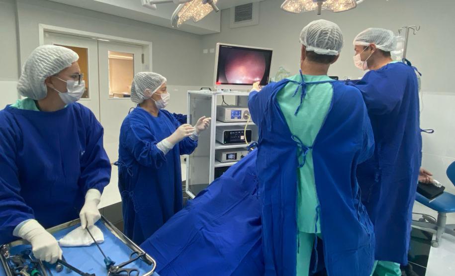 Plataforma da Celepar chega a 1.100 estabelecimentos de saúde cadastrados no Paraná. Foto: UEPG