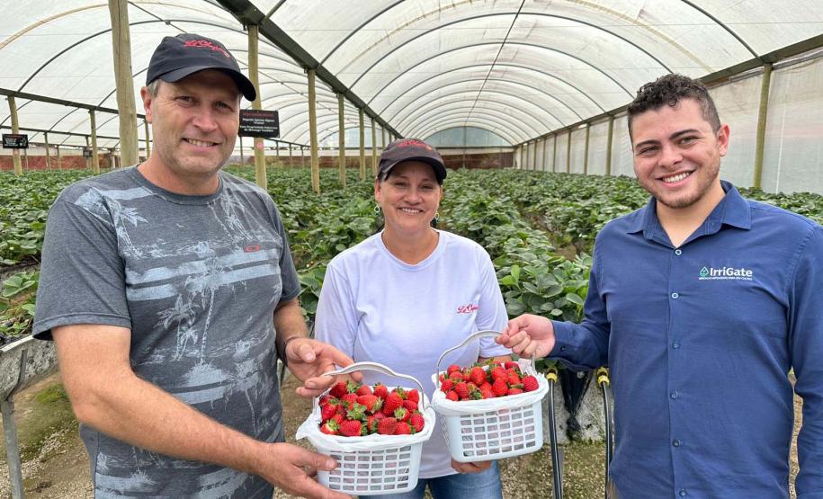 Incentivada pelo Estado, startup curitibana desenvolve sistema de irrigação para agricultura familiar.