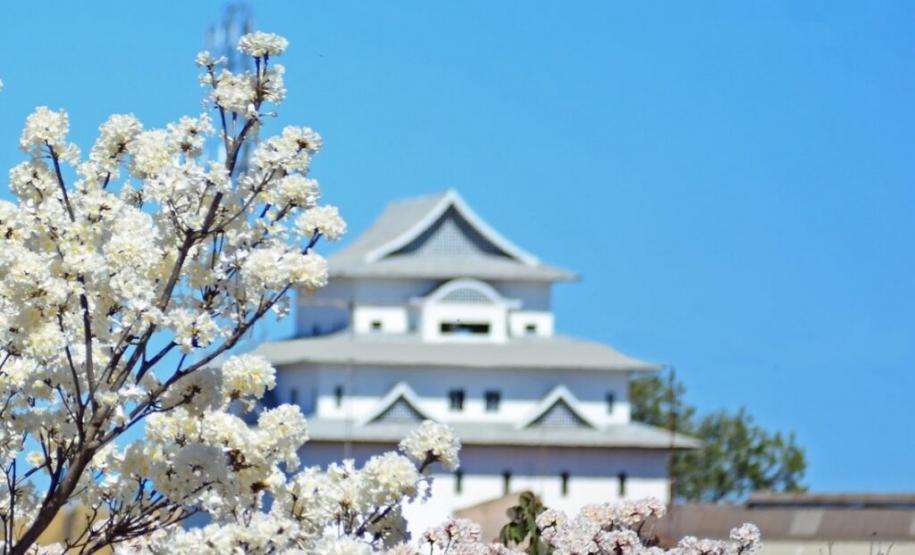 Como Assaí, no interior do Paraná, virou referência global de inovação - Com apenas 13,7 mil habitantes, município do Norte Pioneiro está entre as 7 cidades mais inteligentes do mundo pelo ranking Smart21 do Fórum de Comunidades Inteligentes do Canadá (IFC). Assaí também foi reconhecida nacionalmente pelas boas práticas inovadoras no Prêmio Sebrae Prefeitura Empreendedora