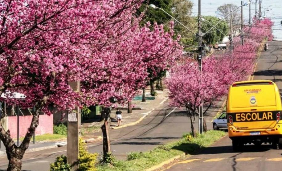 Como Assaí, no interior do Paraná, virou referência global de inovação - Com apenas 13,7 mil habitantes, município do Norte Pioneiro está entre as 7 cidades mais inteligentes do mundo pelo ranking Smart21 do Fórum de Comunidades Inteligentes do Canadá (IFC). Assaí também foi reconhecida nacionalmente pelas boas práticas inovadoras no Prêmio Sebrae Prefeitura Empreendedora