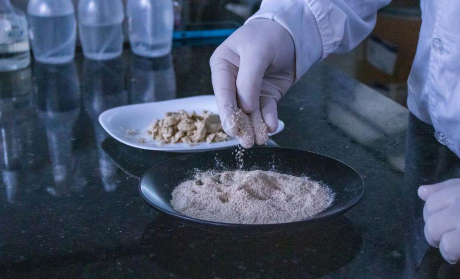 Apoiada pelo Estado, startup paranaense transforma fungos em “carne”. Foto: SEI-PR