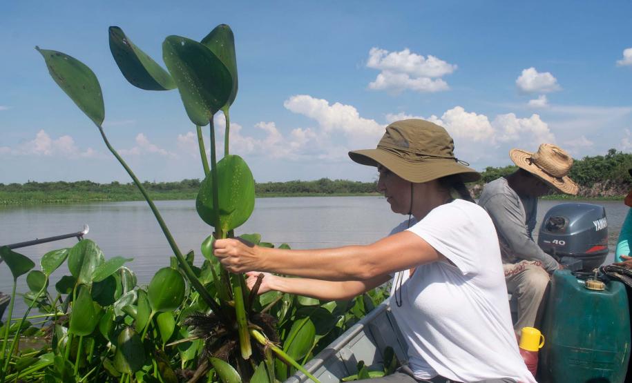 Startup apoiada pelo Estado é uma das 20 empresas do mundo que participarão de exposição na COP16