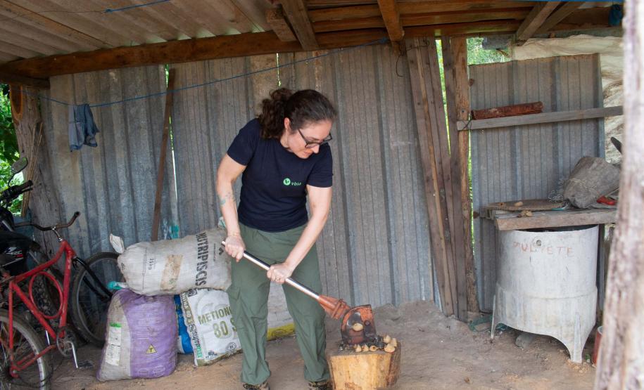 Startup apoiada pelo Estado é uma das 20 empresas do mundo que participarão de exposição na COP16