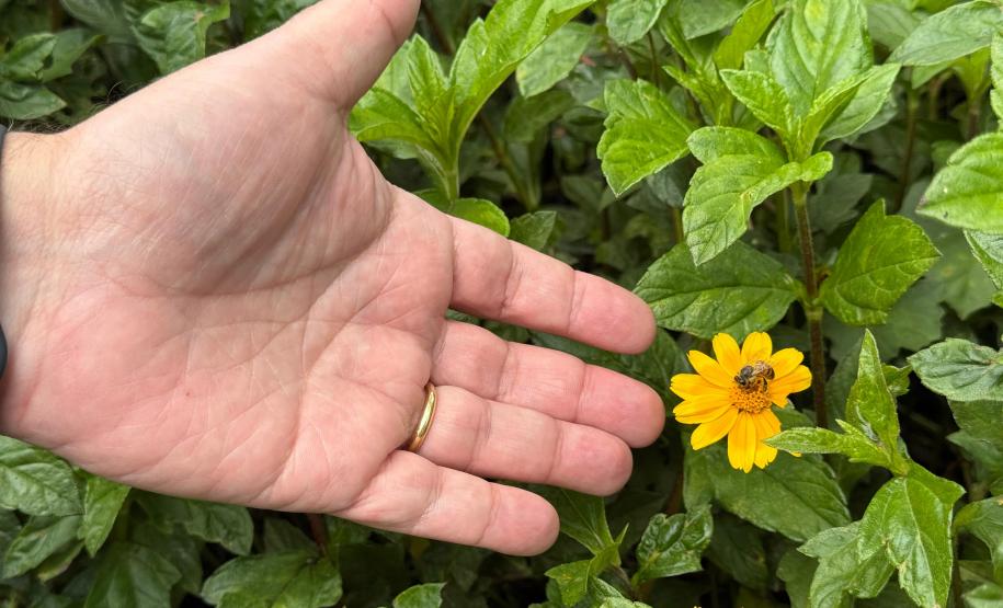 A Beeotec é umas das 68 startups selecionadas no Paraná Anjo Inovador, programa do Governo do Estado que incentiva desenvolvimento de produtos, serviços e processos inovadores.