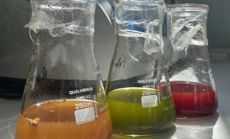 A Beeotec é umas das 68 startups selecionadas no Paraná Anjo Inovador, programa do Governo do Estado que incentiva desenvolvimento de produtos, serviços e processos inovadores.