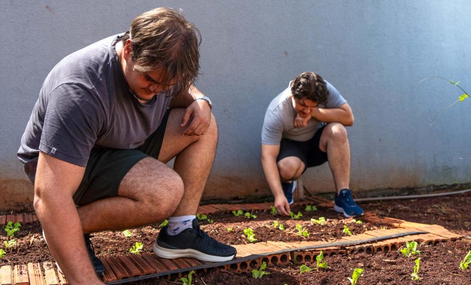 Robótica e tecnologia: estudantes da rede estadual estão conectados com inovação