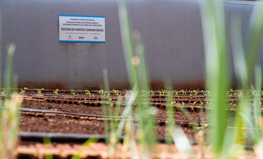 Robótica e tecnologia: estudantes da rede estadual estão conectados com inovação