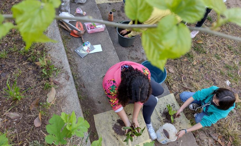 Clube de Ciências revitaliza escola e incentiva empreendedorismo em Colombo