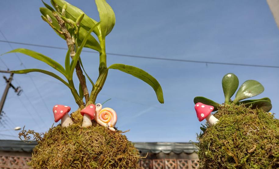 Clube de Ciências revitaliza escola e incentiva empreendedorismo em Colombo