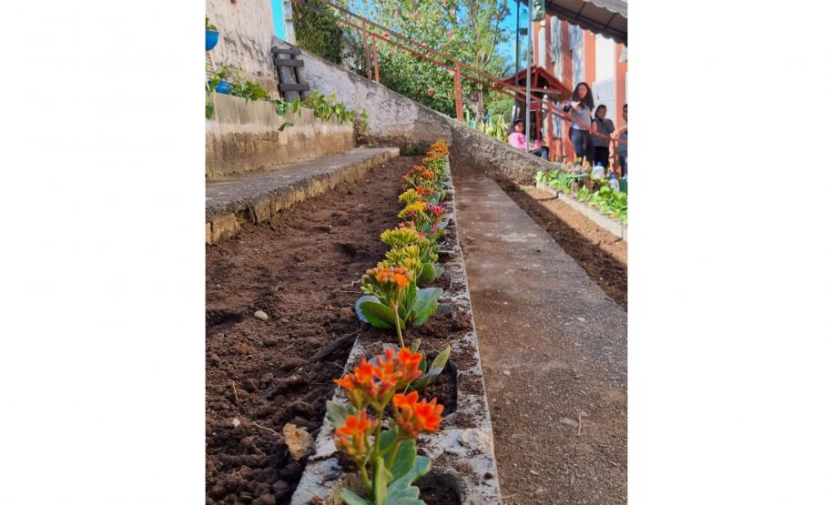 Clube de Ciências revitaliza escola e incentiva empreendedorismo em Colombo