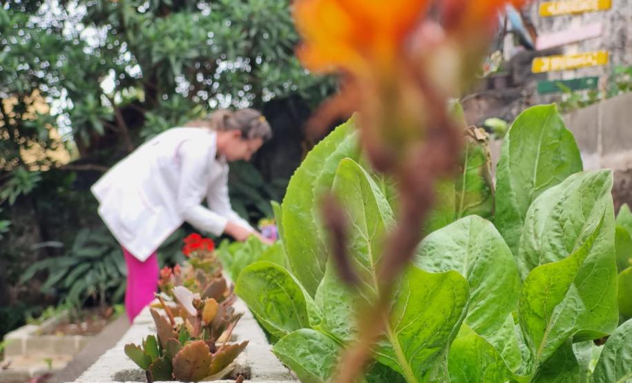 Clube de Ciências revitaliza escola e incentiva empreendedorismo em Colombo