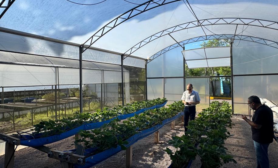 Com auxílio do Tecpar, Paraná terá nova tecnologia europeia para sistemas agrícolas