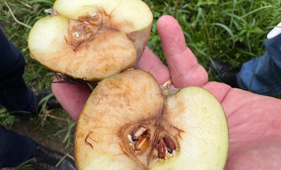 Com auxílio do Tecpar, Paraná terá nova tecnologia europeia para sistemas agrícolas