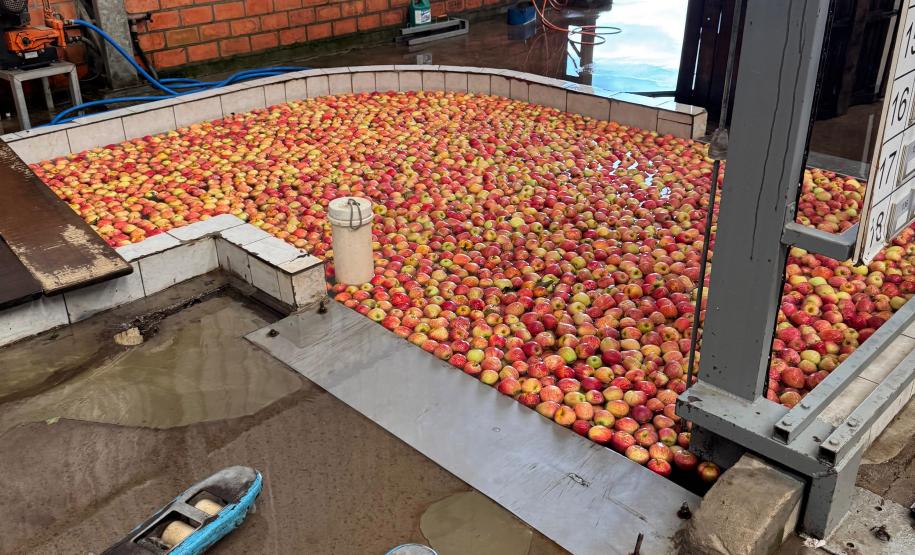 Com auxílio do Tecpar, Paraná terá nova tecnologia europeia para sistemas agrícolas