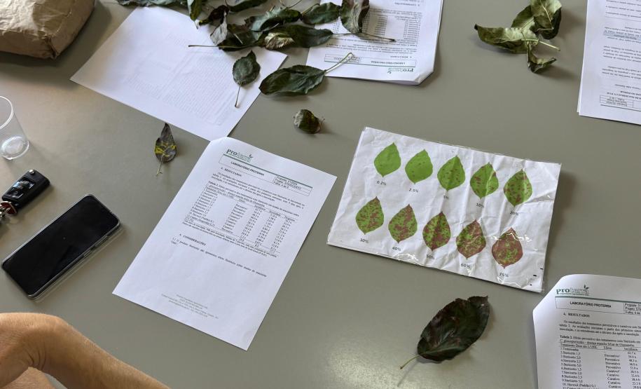 Com auxílio do Tecpar, Paraná terá nova tecnologia europeia para sistemas agrícolas