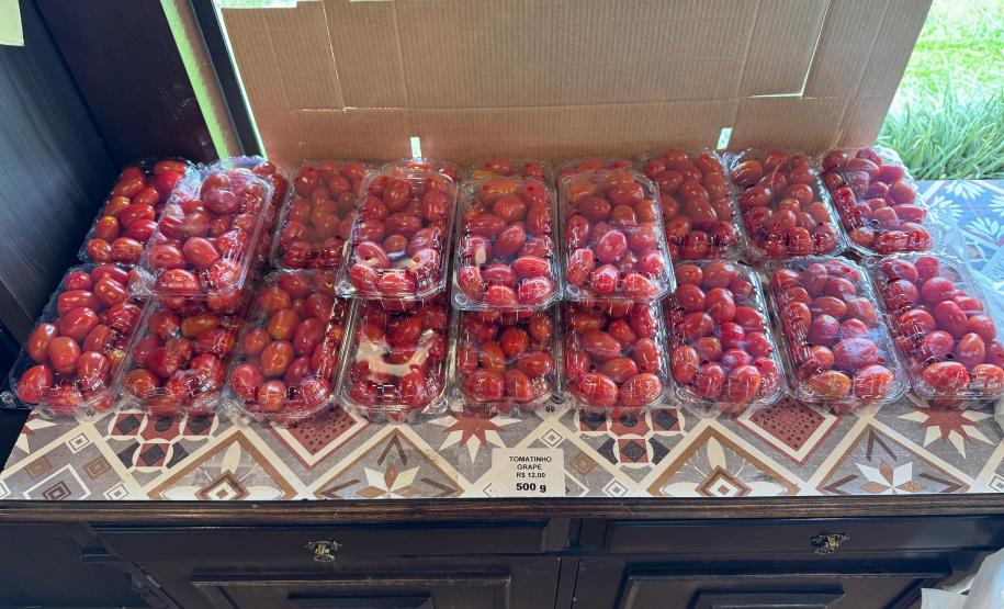 Com auxílio do Tecpar, Paraná terá nova tecnologia europeia para sistemas agrícolas