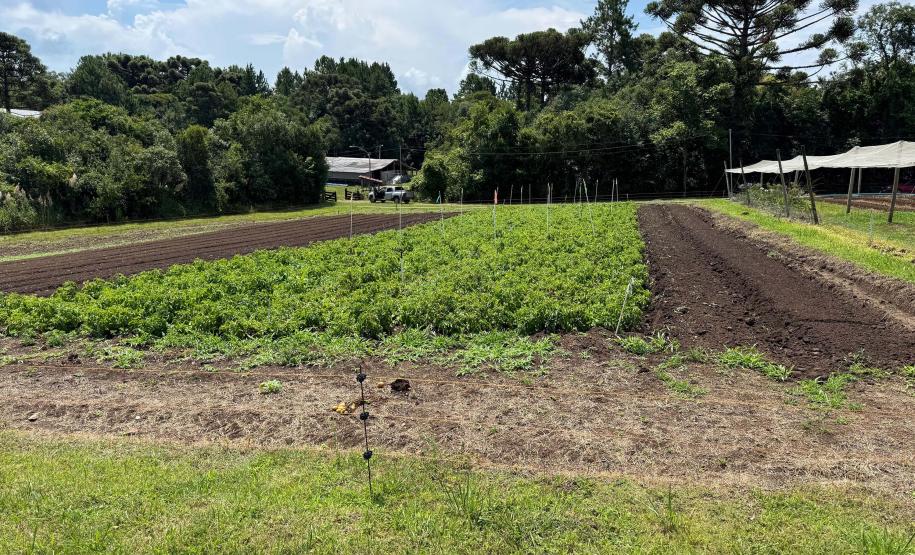 Com auxílio do Tecpar, Paraná terá nova tecnologia europeia para sistemas agrícolas