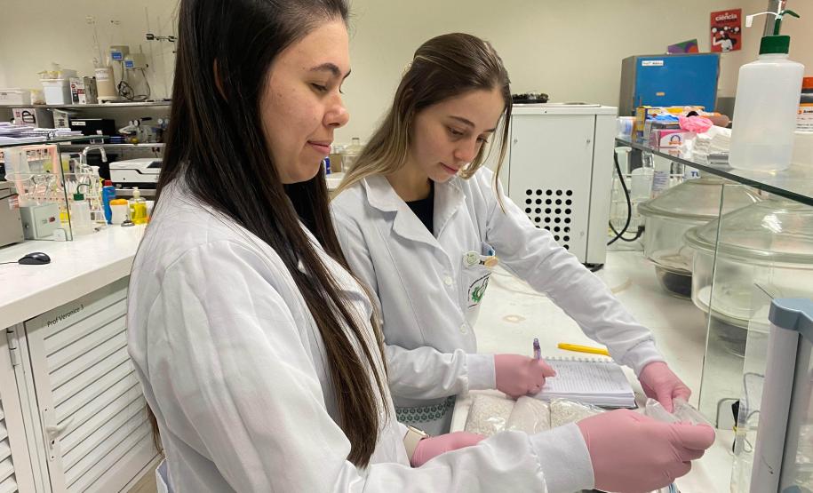 Paraná concorre a prêmio nacional com programa que integra universidades e mercado