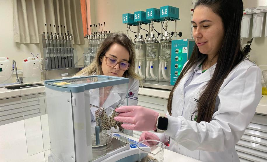 Paraná concorre a prêmio nacional com programa que integra universidades e mercado