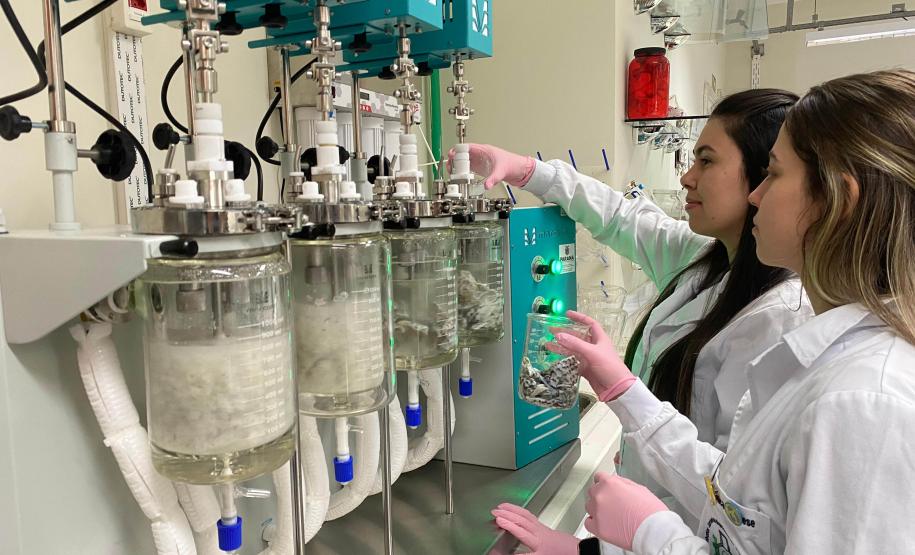 Paraná concorre a prêmio nacional com programa que integra universidades e mercado