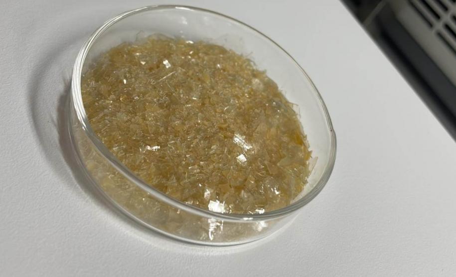 Paraná concorre a prêmio nacional com programa que integra universidades e mercado