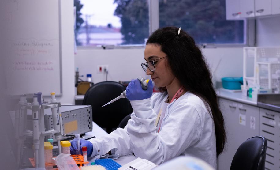 Com crescimento superior a 500% em sete anos, Paraná passa da marca de 2 mil startups