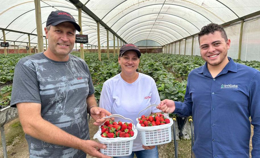 Com crescimento superior a 500% em sete anos, Paraná passa da marca de 2 mil startups