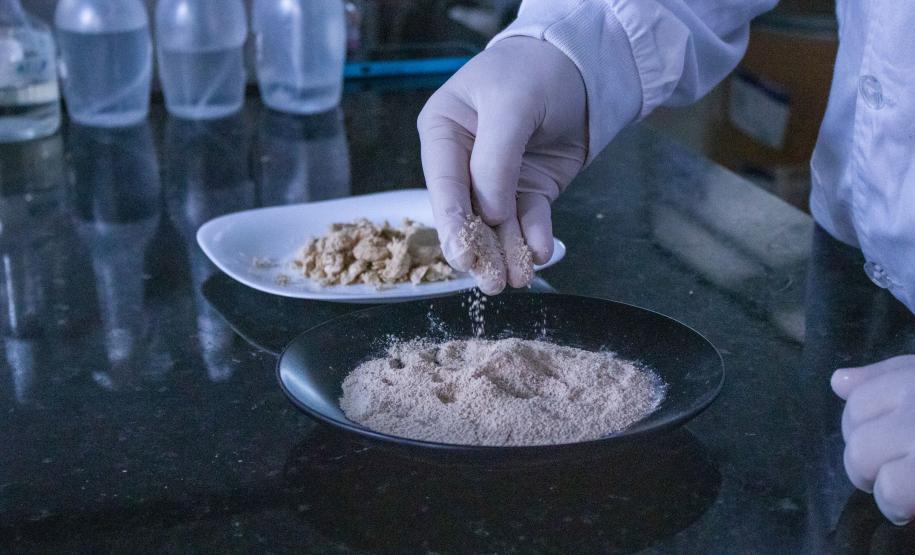 Startup apoiada pelo Paraná Anjo Inovador recebe R$ 2 milhões de aceleradora belga