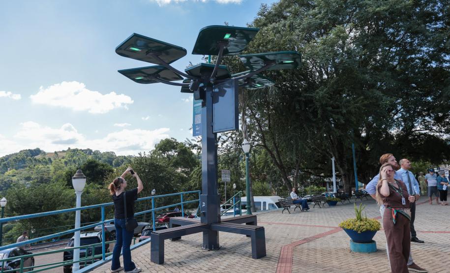 Conectividade e IA: startup cria “araucária digital” com apoio do Paraná Anjo Inovador