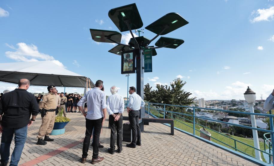 Conectividade e IA: startup cria “araucária digital” com apoio do Paraná Anjo Inovador