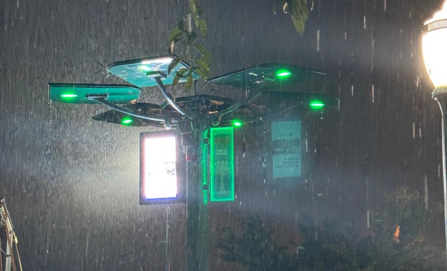 Conectividade e IA: startup cria “araucária digital” com apoio do Paraná Anjo Inovador