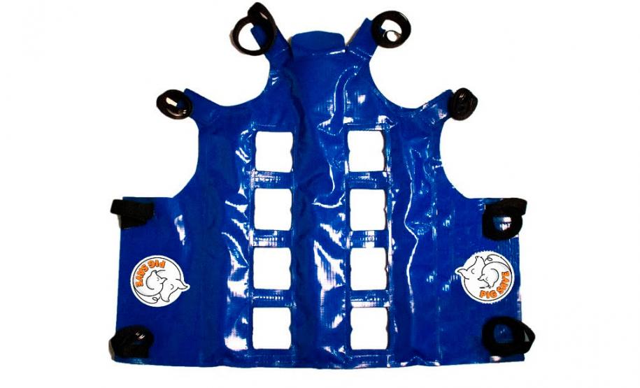 Tecnologia e bem-estar animal: startup paranaense avança na suinocultura com apoio do Anjo Inovador Foto: Pigma Desenvolvimentos