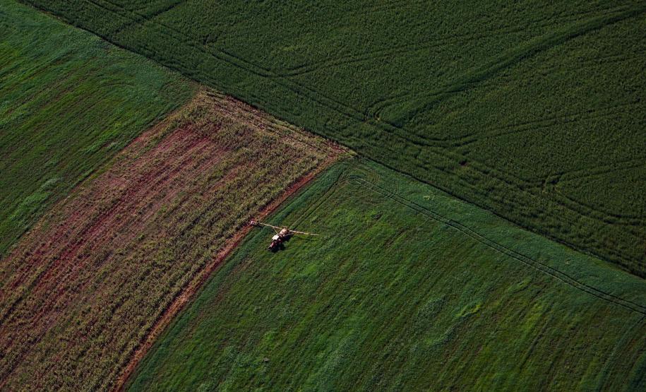 Webinar orienta empresas sobre como participar do programa Nexus de inovação no agro